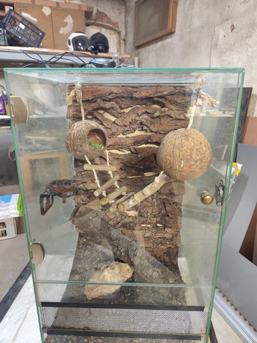Terarium dla gekona