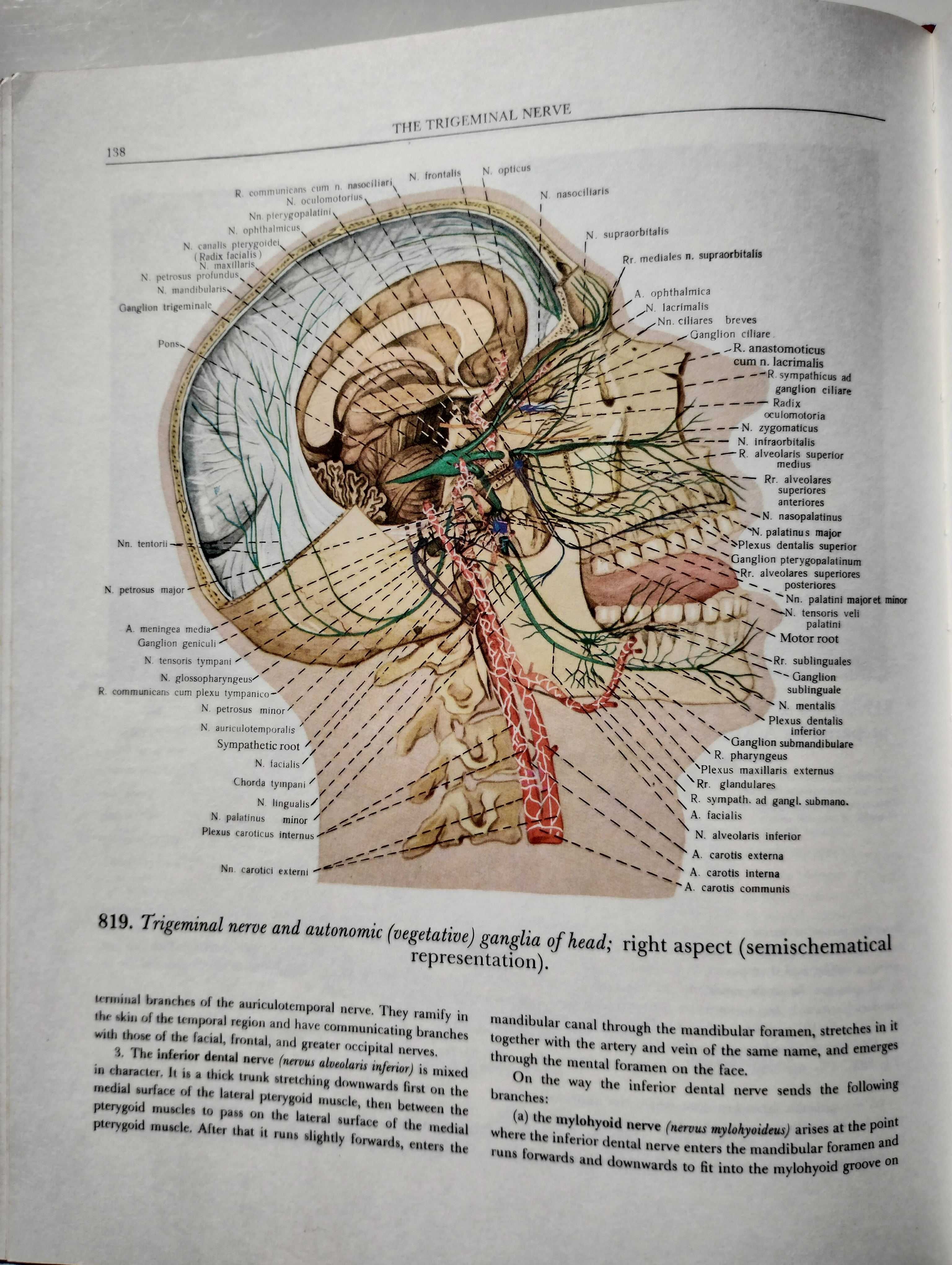 ATLAS OF HUMAN ANATOMY R.D.Sinelnikov komplet, 1, 2 i 3 tom