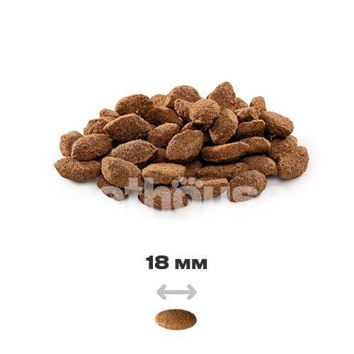 Корм для собак Brit Premium Light (индейка) 15 кг Срок: 12,25