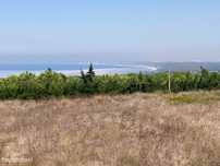 Terreno com 5551m2 vista mar Azoia Sesimbra