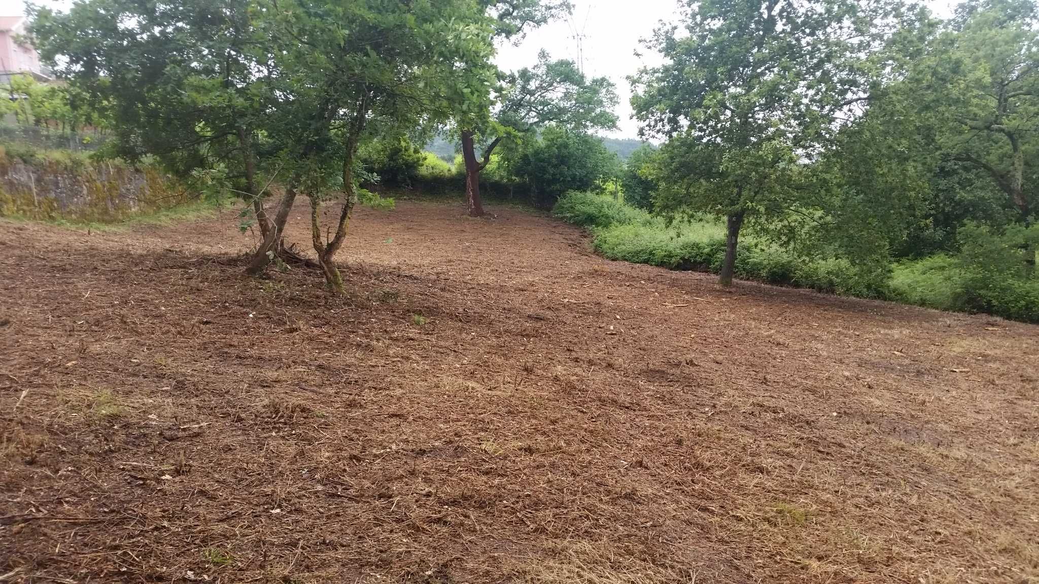 Terreno em Águas Santas e Moure, Póvoa de Lanhoso