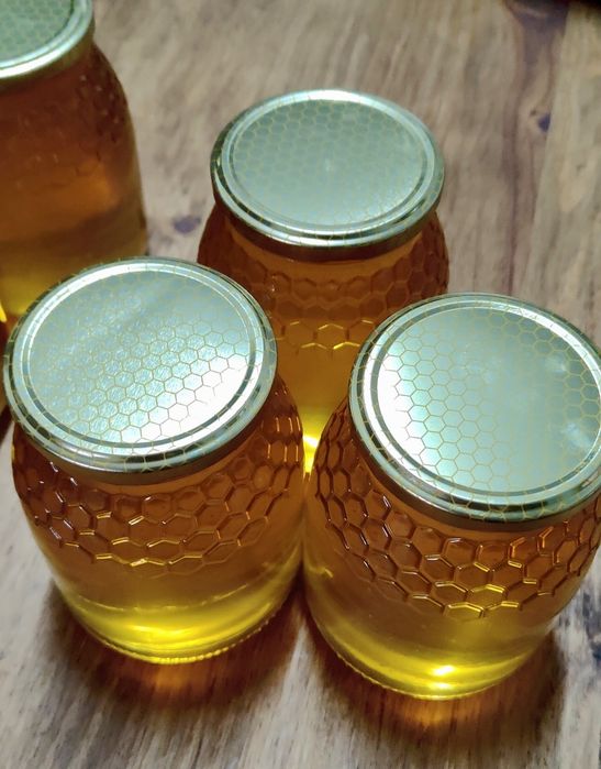 Mel biológico rosmaninho