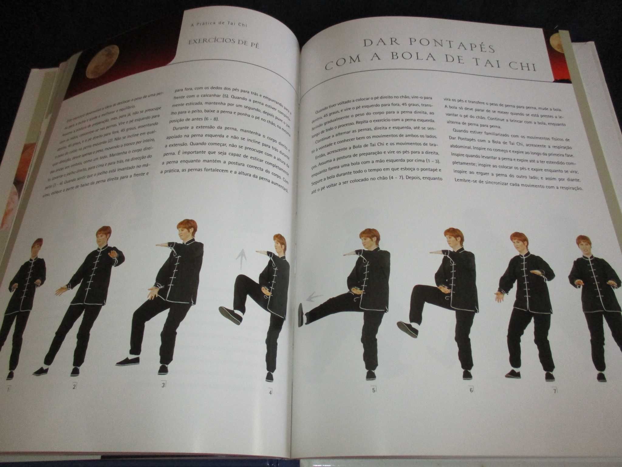 Livro Tai Chi Tranquilidade em movimento Estampa