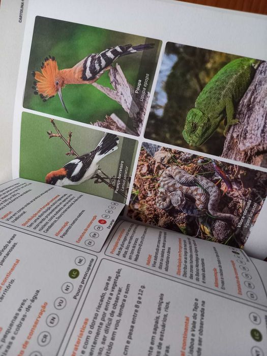 (NOVO, PORTES GRÁTIS) ADN 8: Dossiê do Professor: Ciências Naturais