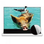 ALR Екран для проектора VividStorm S PRO 100" (білий/чорний) (*Київ*)