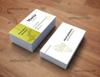 Cartões de visita / Flyers / Logotipos
