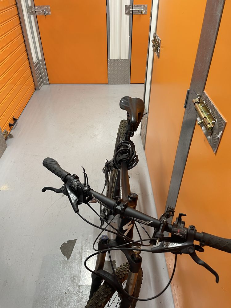 specialized rockhopper pro 29