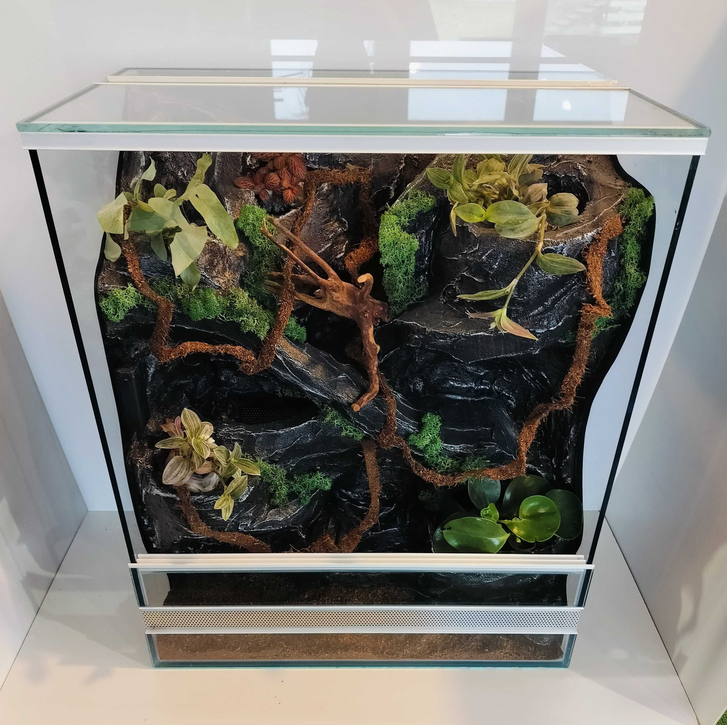 Terrarium dla gekona orzęsionego z pełnym wyposażeniem, AquaWaves