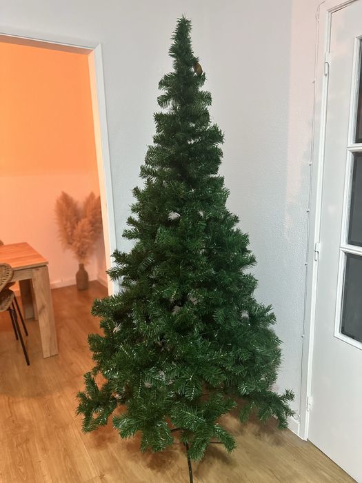 Árvore nova, 210cm