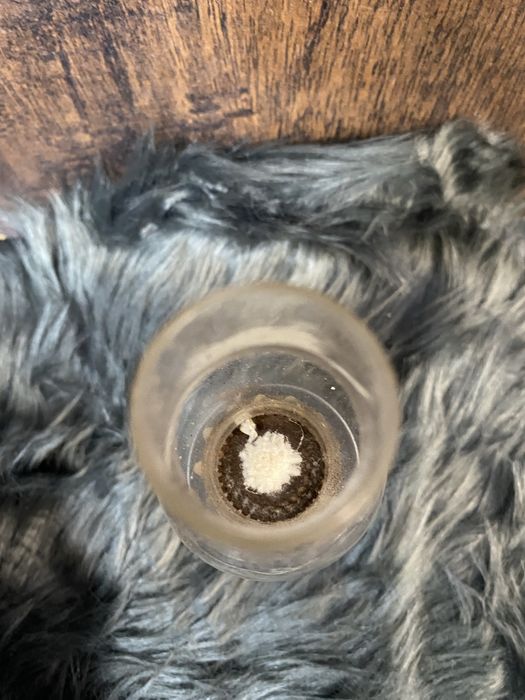 Japońska lampa naftowa 20,5 cm