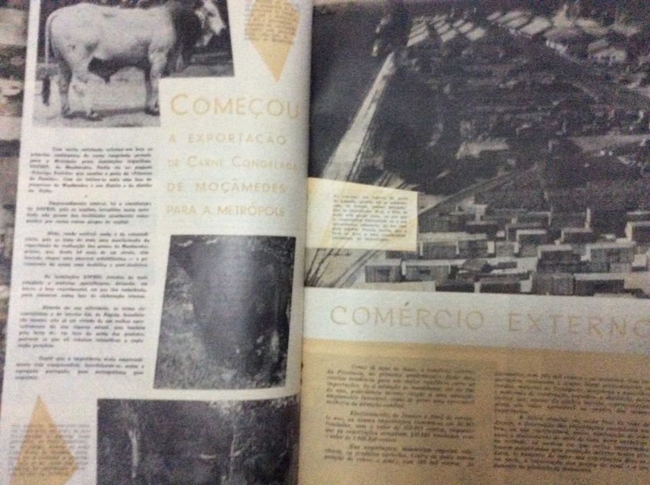 Revista de Angola , quinzenário ilustrado. Agosto de 1961