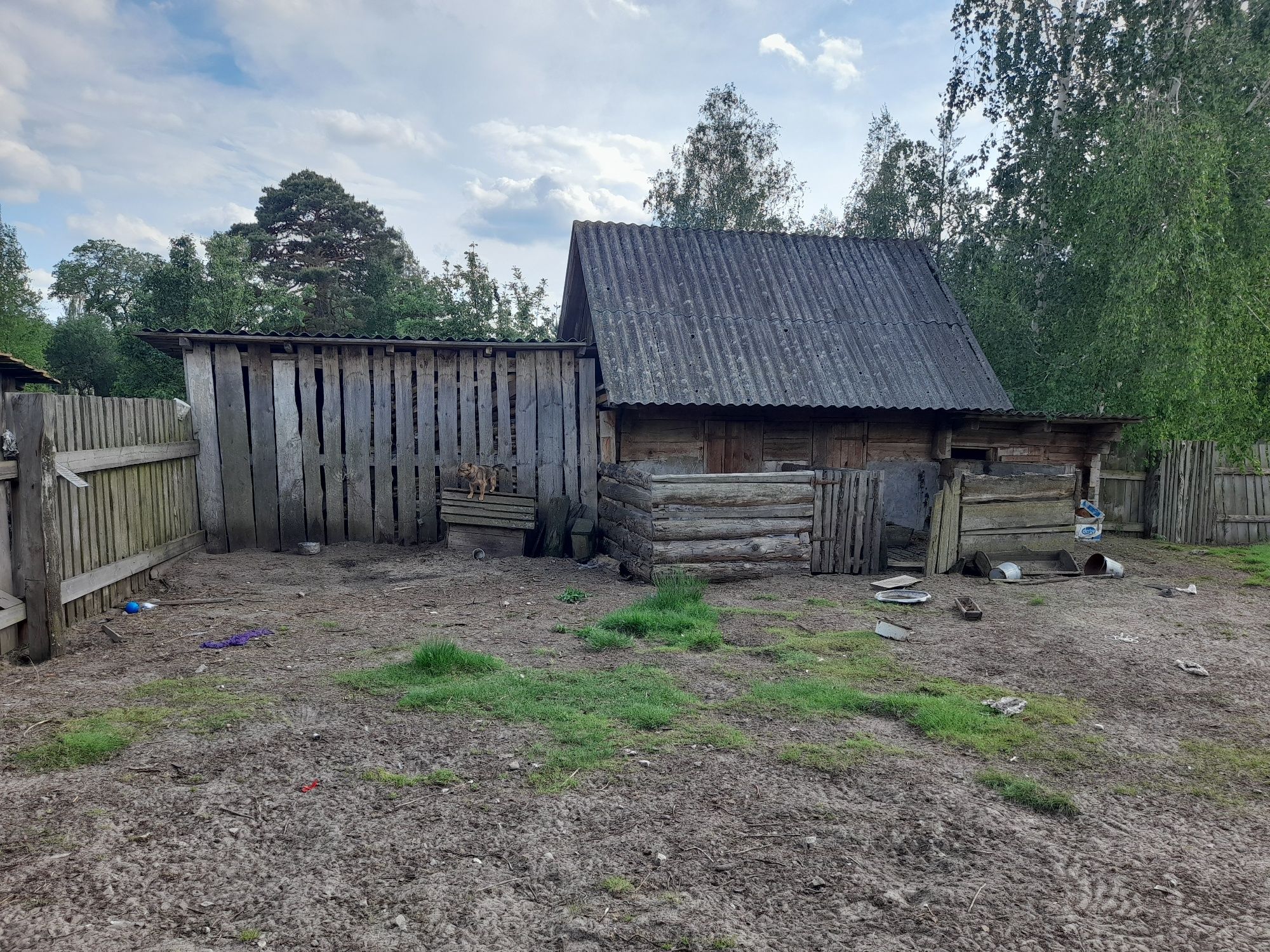 Будинок в дуже гарному стані