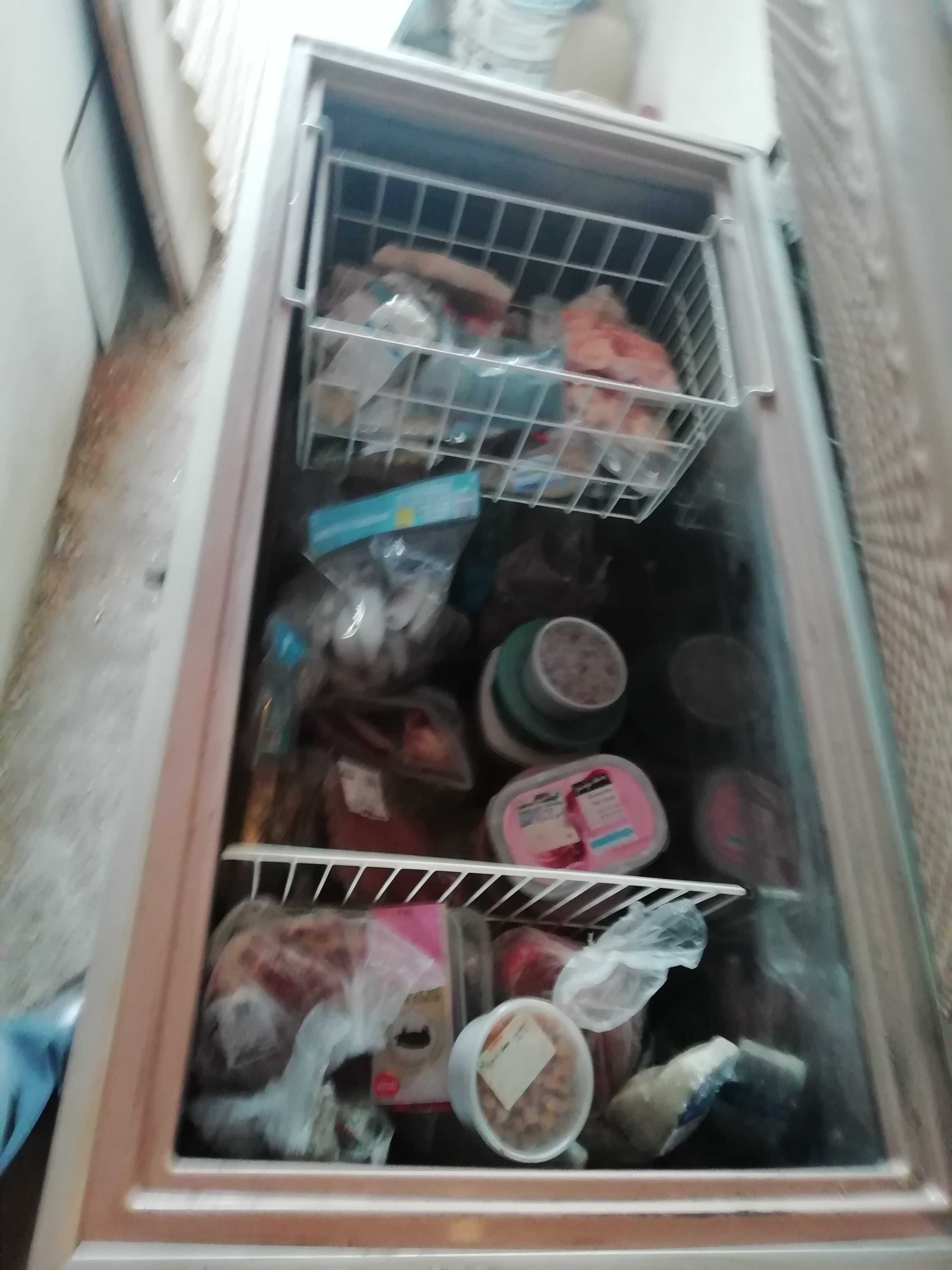 Arca congeladora