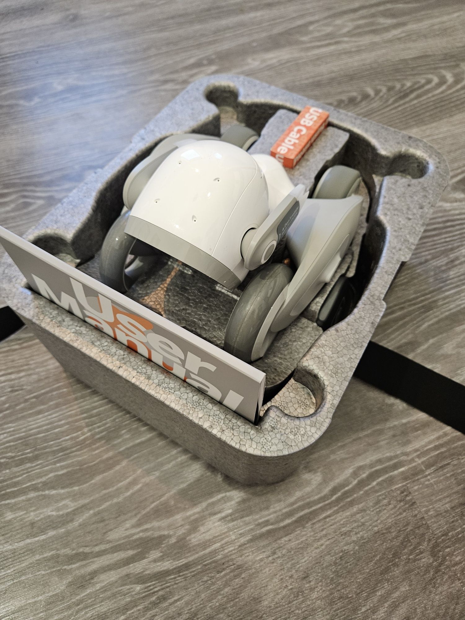 Loona KEYI TECH robot petbot