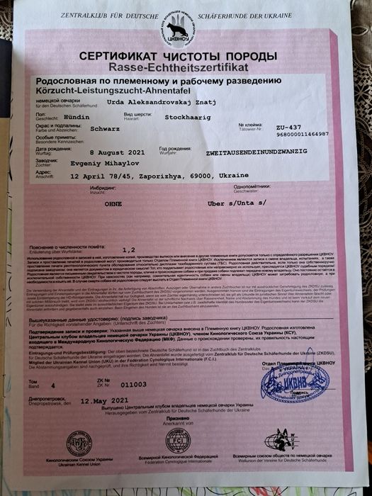 Отдам щенков в хорошие руки