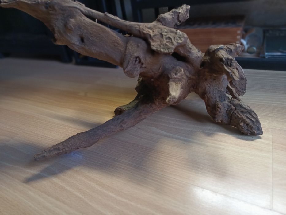 Duży korzeń do akwarium lub terrarium