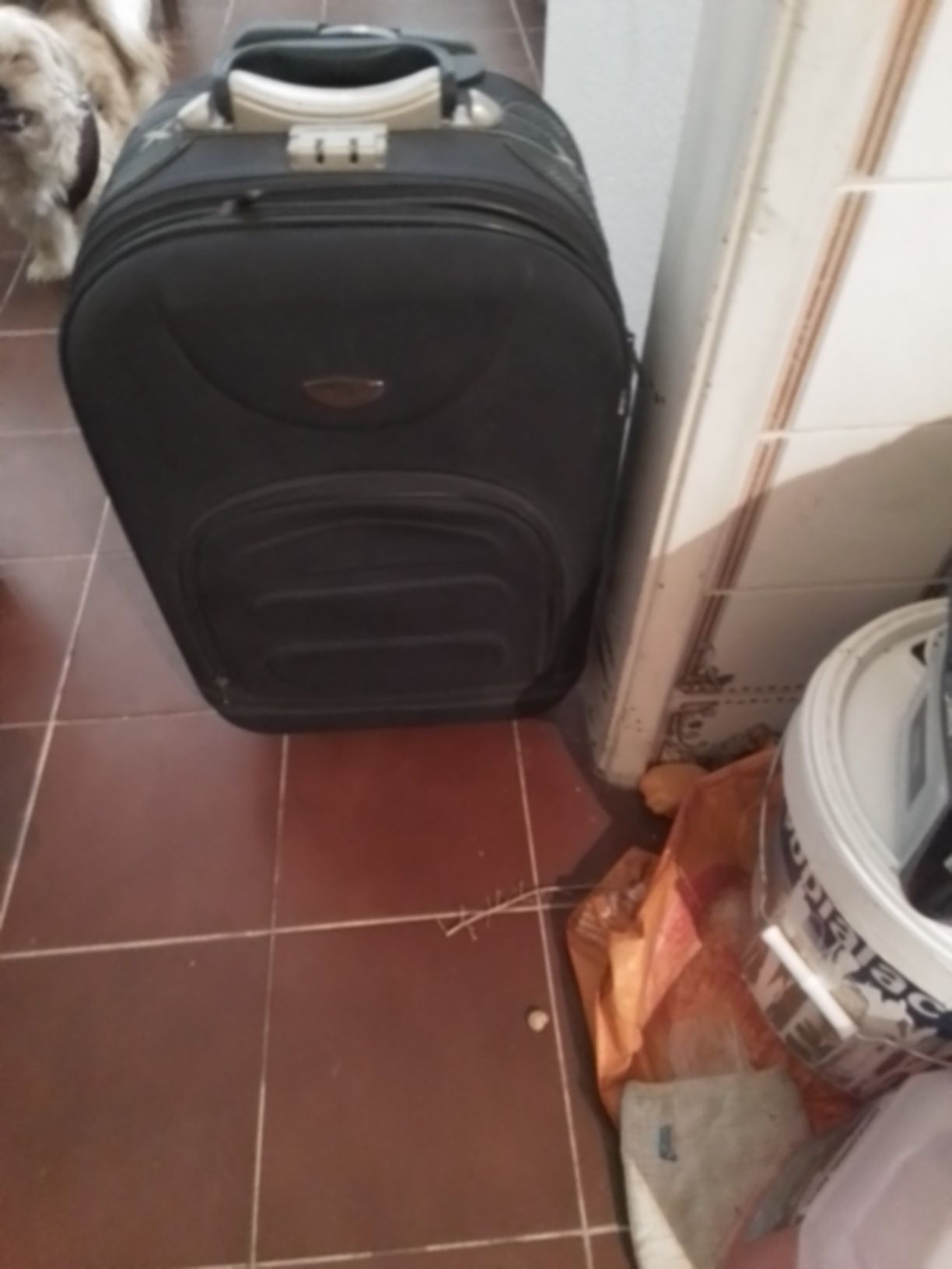 Malas de viagem média