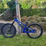 Dartmoor Balckbird Junior 26