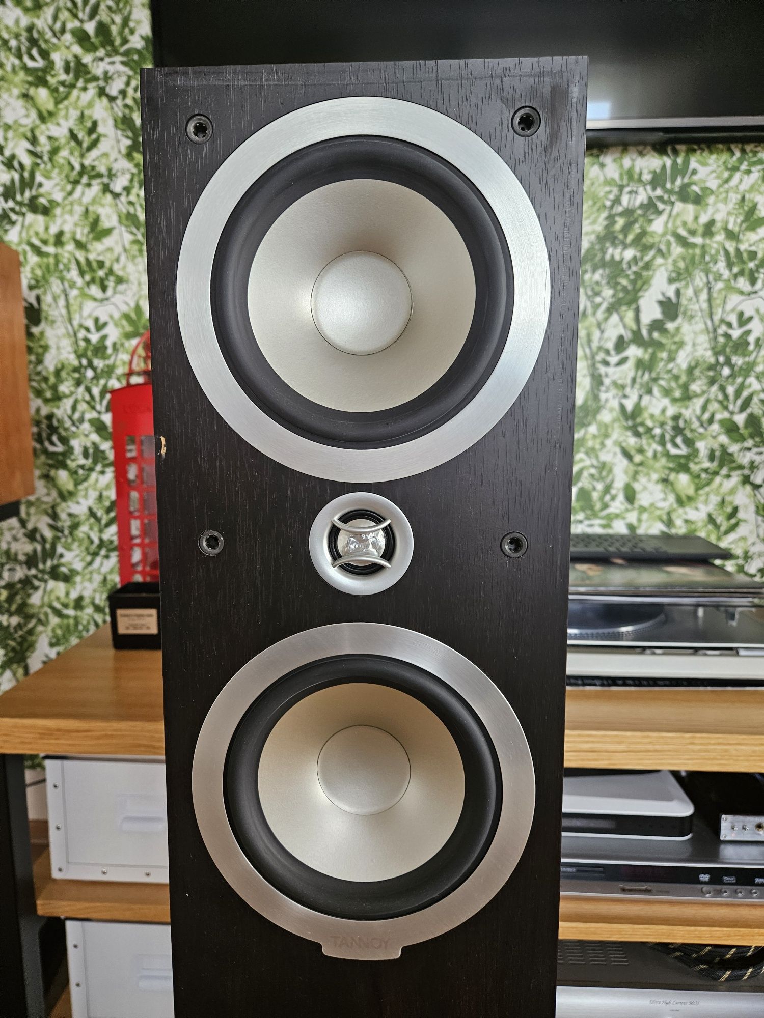 Kolumny Tannoy V4i