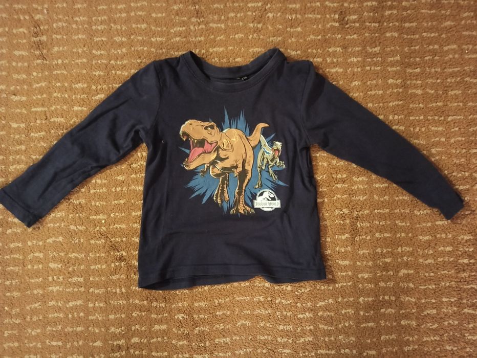 Koszulka z długim rękawem, dinozaury