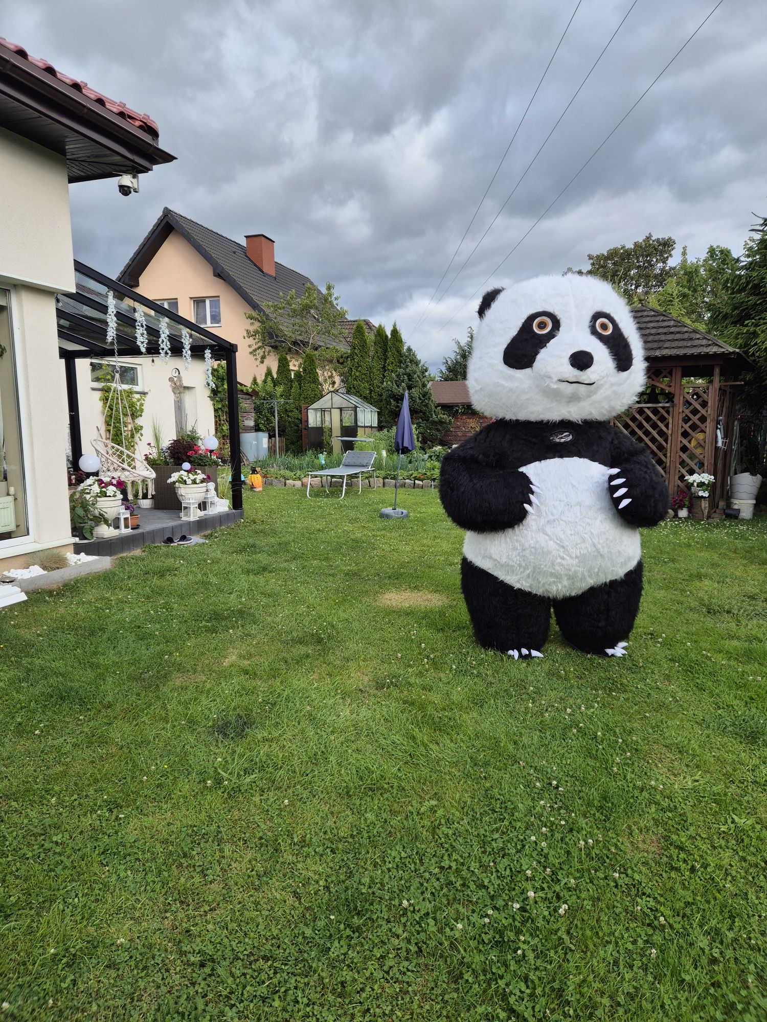 Miś panda dmuchany , na urodziny ,impreze wynajem
