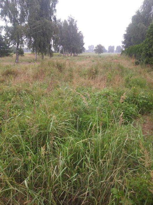 Kompleksowe czyszczenie terenu działek przygotowanie pod budowę