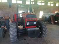 Ursus         914