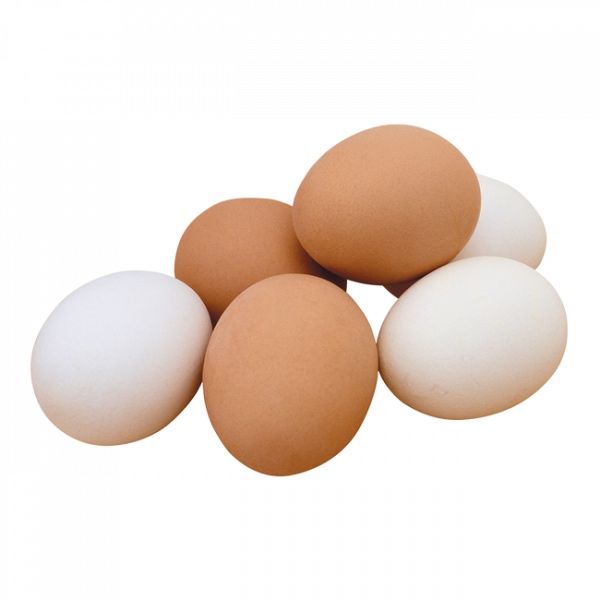 Ovos caseiros de galinha