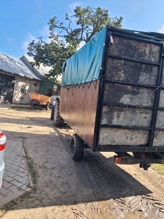 Przyczepa do przewozu zwierząt,koni,bydla