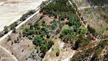 Terreno  para venda