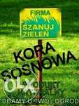 Kora Sosnowa sortowana 80l Szanuj Zieleń ozdobna do ogrodu z dostawą