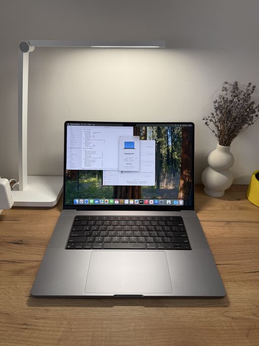 MacBook Pro 16 2021 M1 Pro 16-Core 16Gb 512Gb 91%