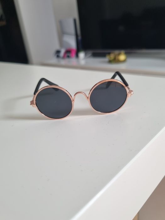 Mini okulary dla kota, psa