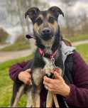Nela gorąco poleca się do adopcji:)