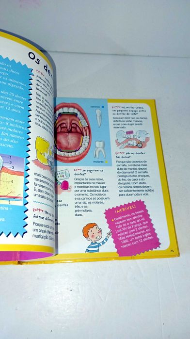 O Corpo Humano - Respostas às Perguntas das Crianças