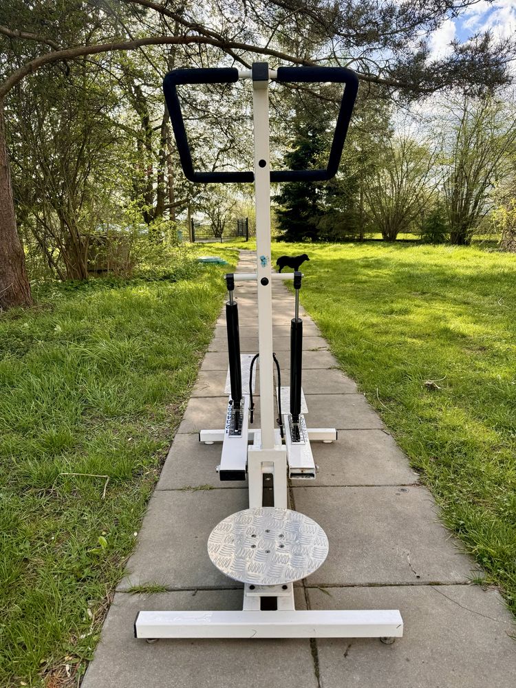 Sprzęt rehabilitacyjny do cwiczen, stepper/twister