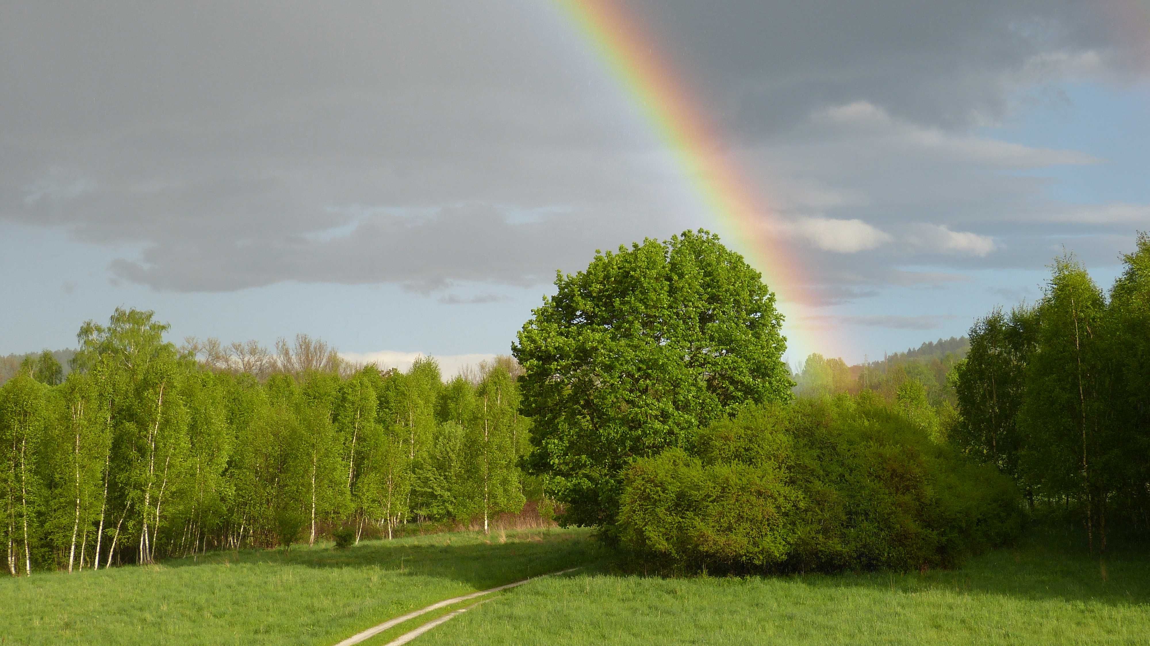 Agroturystyka Kalinowe Ranczo
