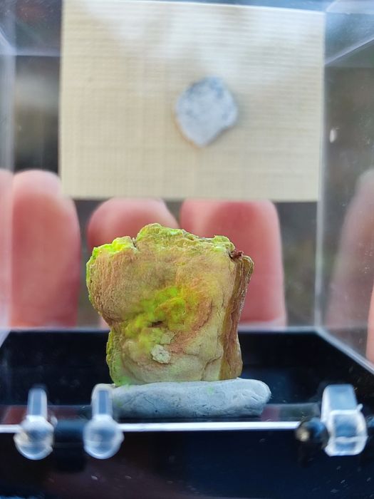 Minerał do kolekcji uranowy uranicircit UV