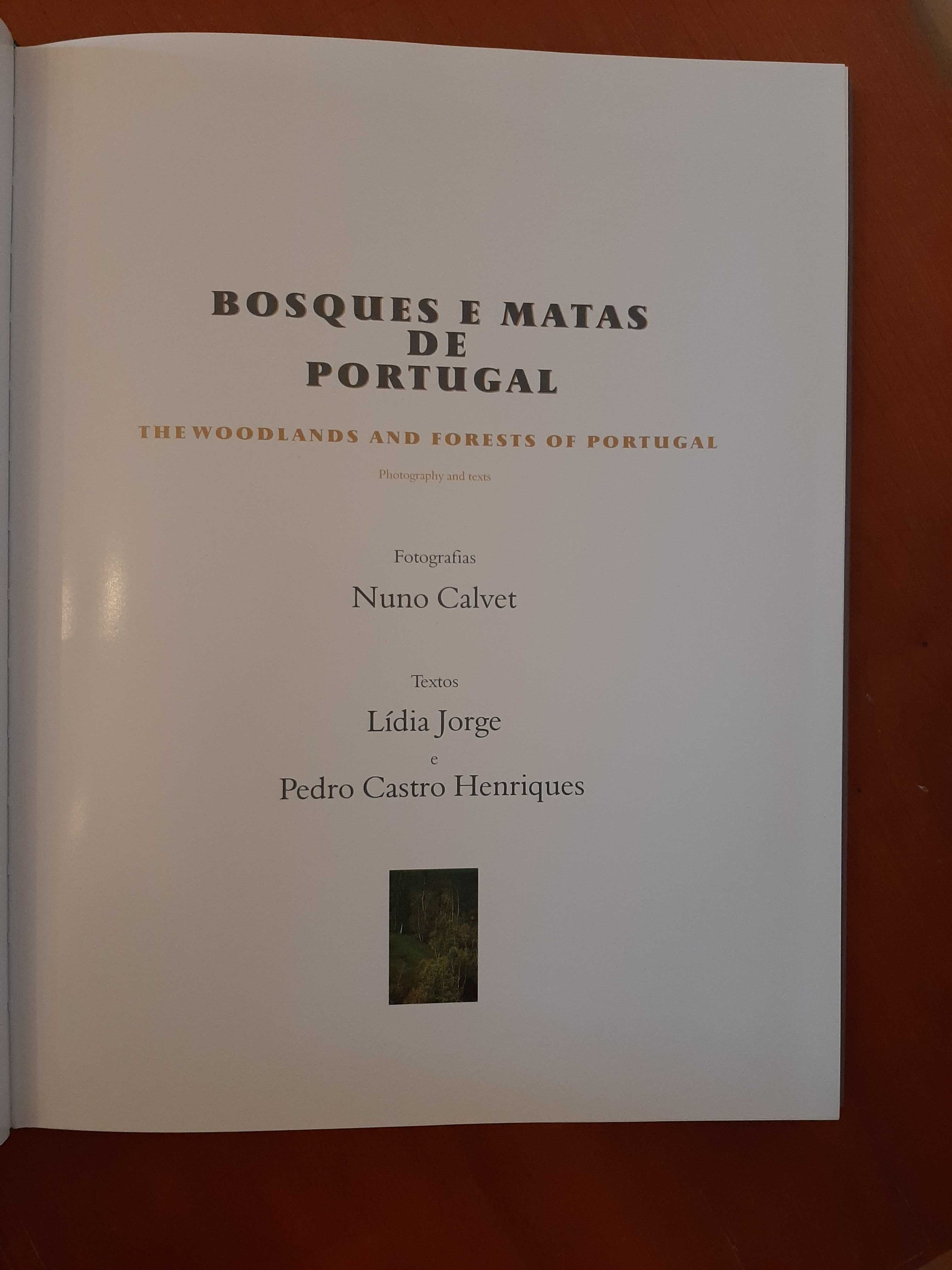 Bosques e Matas de Portugal