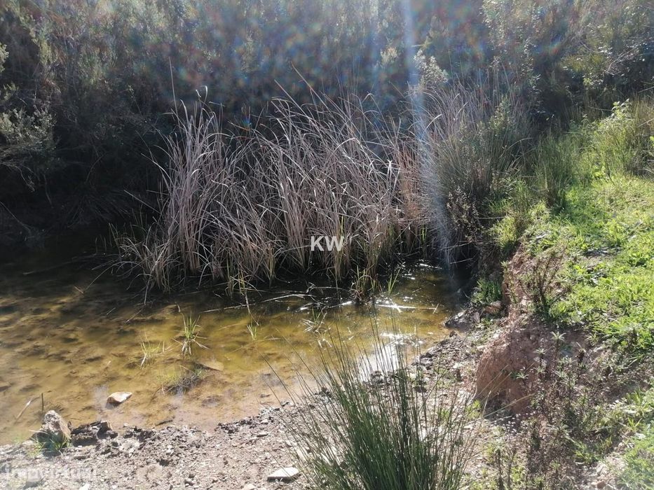 Terreno Rustico Saboia