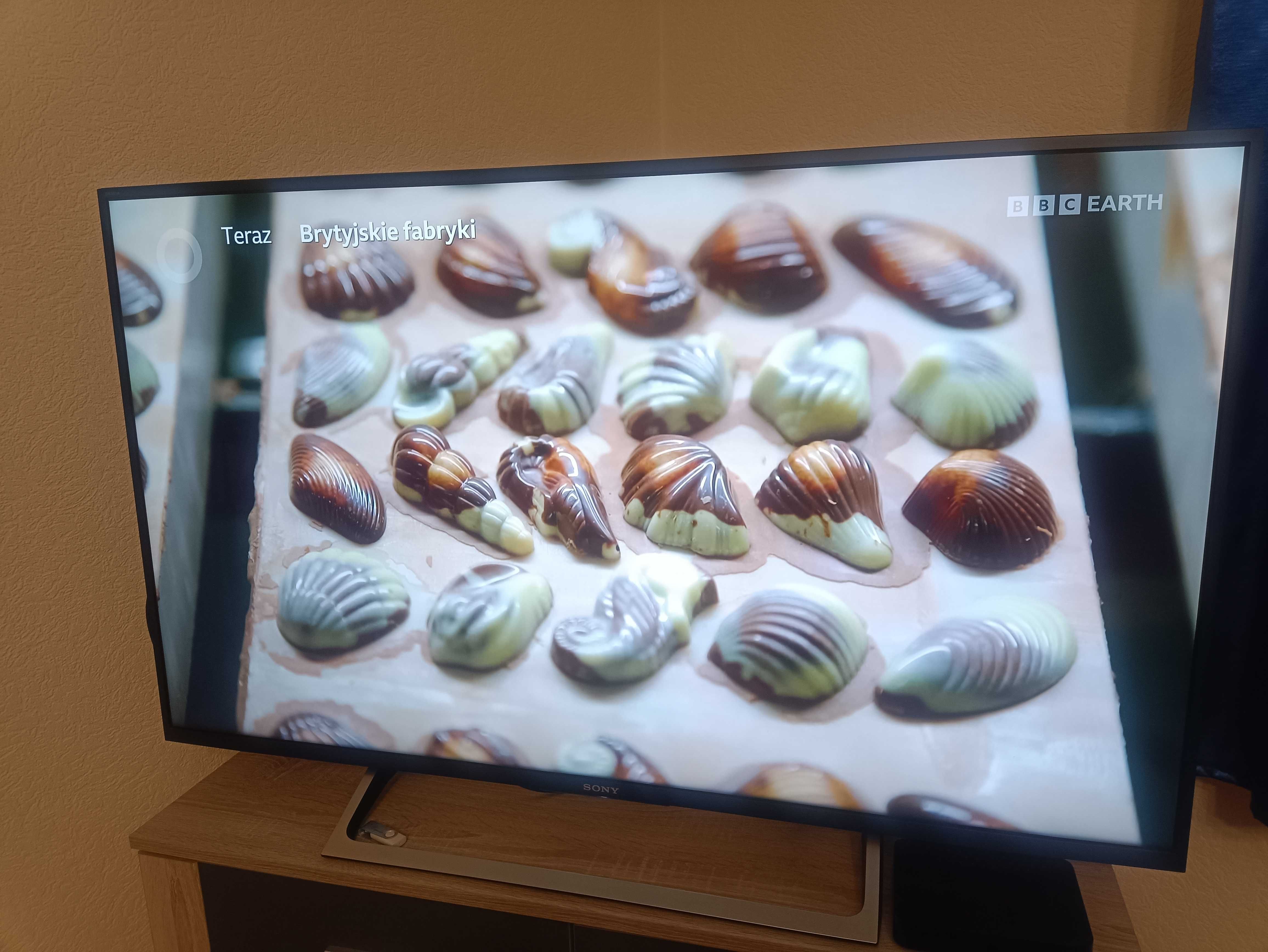 Telewizor Sony 49 cali 4K UHD