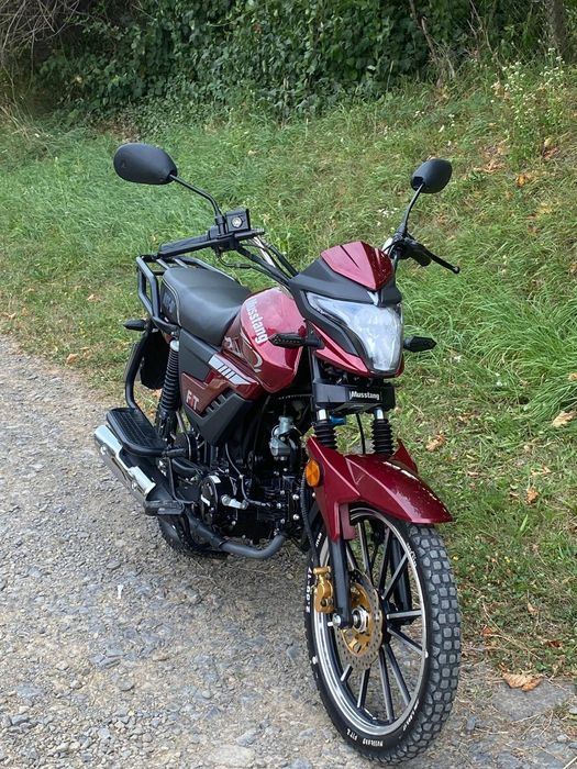 Продам мустанг фіт2