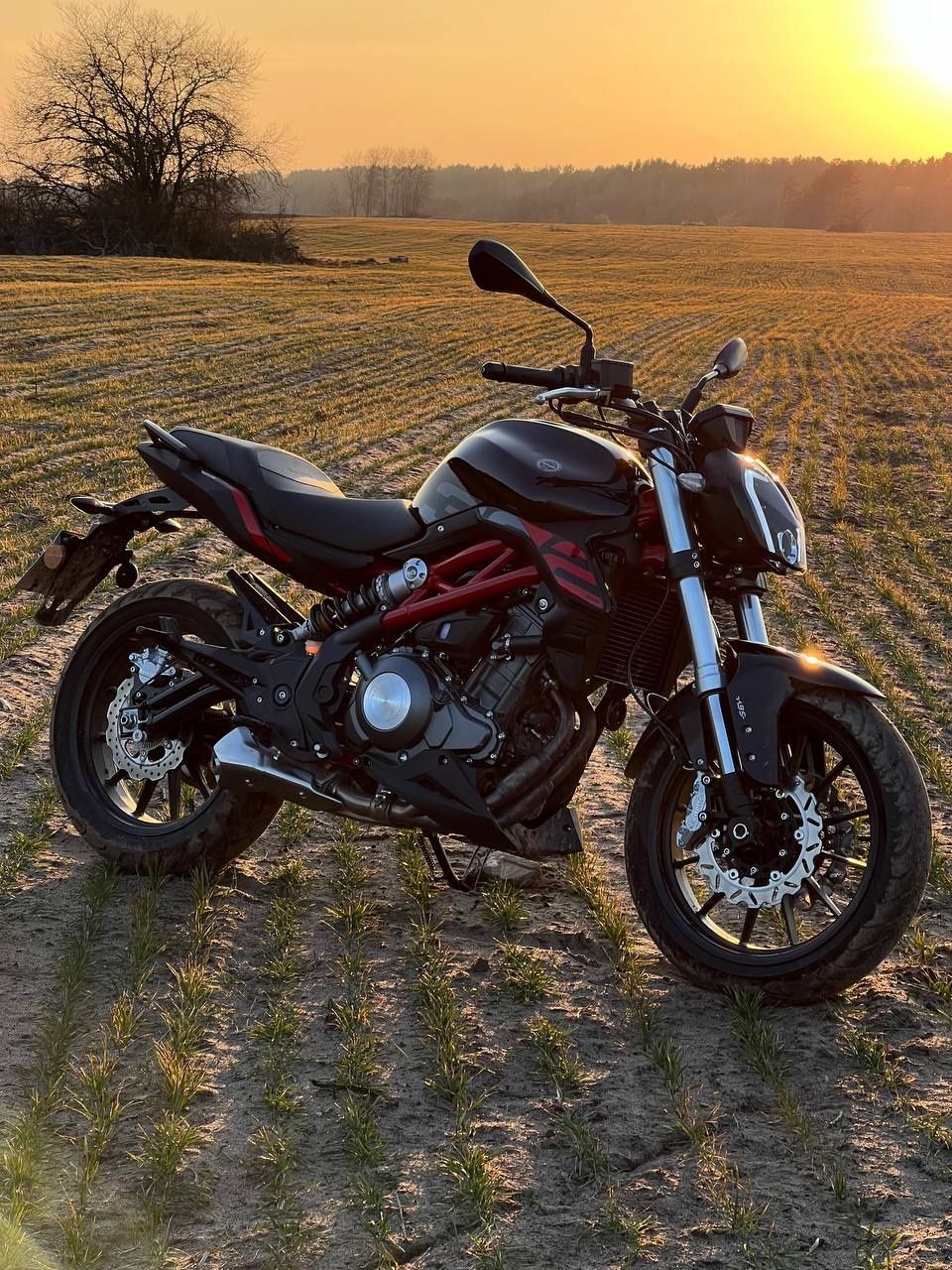 Benelli tnt 302s
