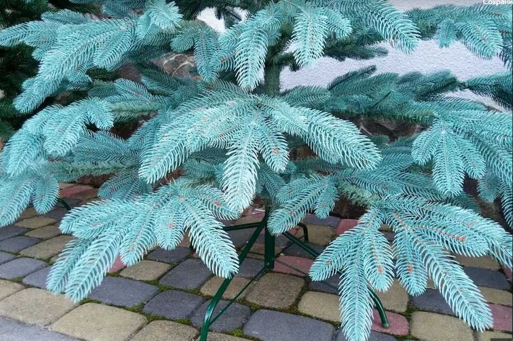 Лита ялинка преміум(як справжня)