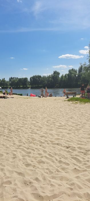 Участок возле Десны с дачным вагончиком в Зазимье сады (дачи).