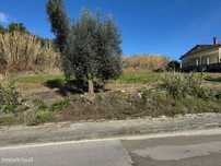 Terreno Urbano || Pombal