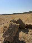fardos de palha de trigo e de sevada