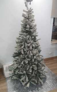 Árvore de Natal bom estado
