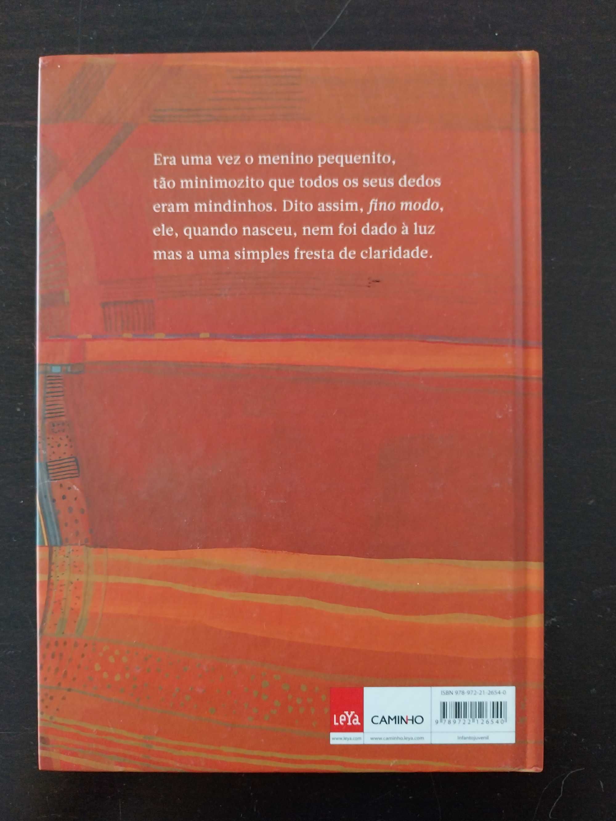 livro: Mia Couto “O menino no sapatinho”