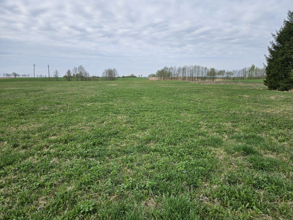 Dom z działką siedliskową – Skazdub Nowy, gm. Bakałarzewo
